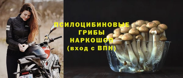 ПСИЛОЦИБИНОВЫЕ ГРИБЫ Вяземский