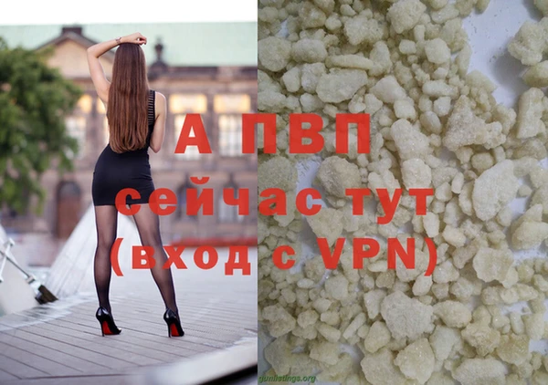 ПСИЛОЦИБИНОВЫЕ ГРИБЫ Вяземский