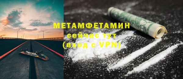 ПСИЛОЦИБИНОВЫЕ ГРИБЫ Вяземский