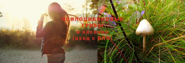 ПСИЛОЦИБИНОВЫЕ ГРИБЫ Вяземский