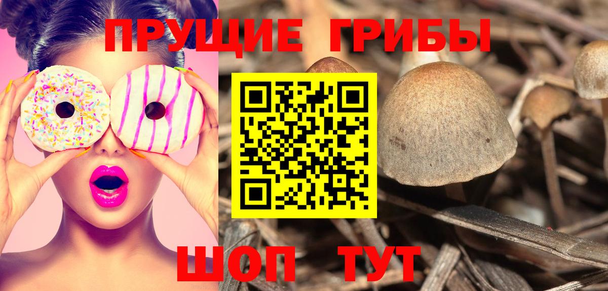 Псилоцибиновые грибы мицелий  Вход с VPN  купить   Дальнереченск 